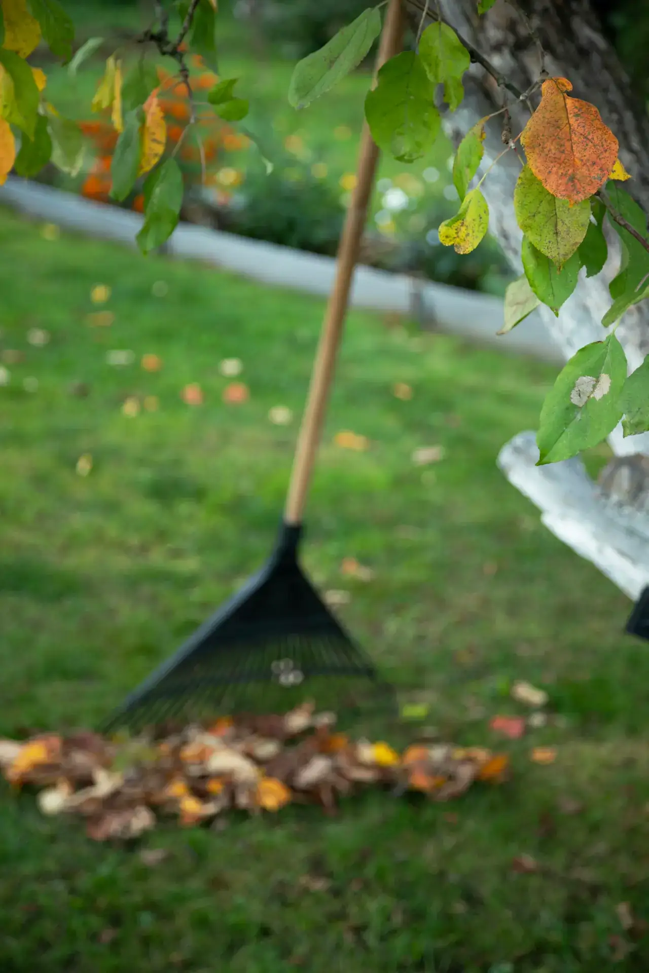 Herbst & Frühling